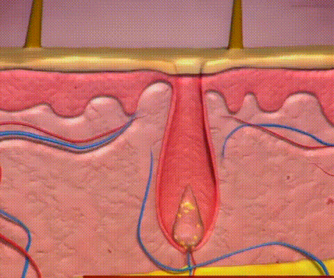 СПРЕЙ – ДЛЯ ВІДНОВЛЕННЯ ВОЛОССЯ